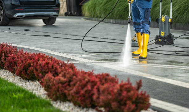 Best Roof Washing  in Machias, WA
